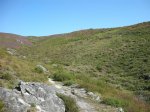 DSCN3427 (Large).JPG