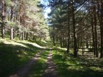 Foto10.JPG