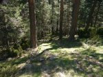 Foto13.JPG