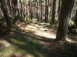 Foto16.JPG