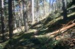 Foto32.JPG