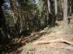Foto35.JPG
