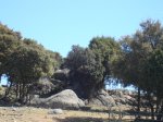 DSC01705.JPG