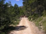 salida 02.05.09 villamalea 044 [Resolucion de Escritorio].jpg