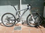 colometa2w.JPG