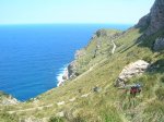 DSCN7318.jpg