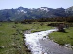 DSC00725.jpg