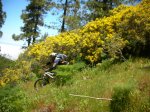 DSCN5460.JPG