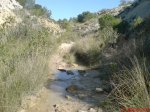 DSC00395.JPG