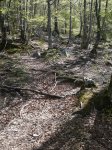 iturrigorri-arantza 00002.JPG