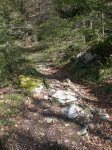 iturrigorri-arantza 00012.JPG