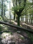 iturrigorri-arantza 00013.JPG