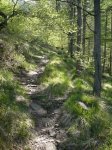 iturrigorri-arantza 00017.JPG