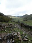 DSCN4338.jpg
