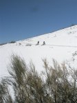 P5021080 (Medium).JPG