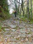 DSCN4453.jpg