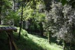 DSC_0144.JPG