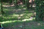 DSC_0149.JPG