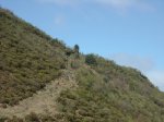 DSCN0580.jpg