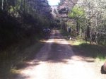 IMG00023-20090503-1129.jpg