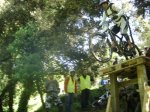 DSC07899.jpg