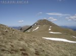DSC07701.JPG