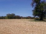 Fotos-0006.jpg