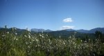 Panorama 3 (Medium).JPG