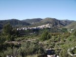 IMG_0005.jpg