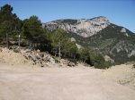 IMG_0017.jpg