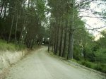IMG_0027.jpg