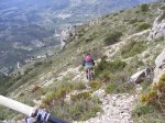 DSCF4617.jpg
