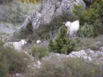 DSCF4633.jpg