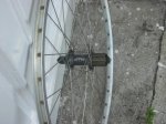 DSCN0532.jpg