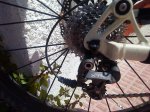 DSC00160.jpg