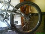 DSC00116.jpg