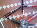 DSC00243.jpg