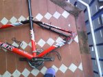 DSC00245.jpg