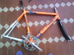DSC00238.jpg