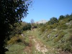 Image00036.jpg