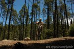 DSC_3234.jpg