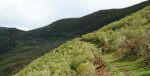 DSCN4326.jpg