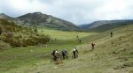 DSCN4358.jpg
