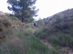 Imagen026.jpg