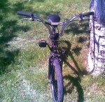 04052009(005).jpg