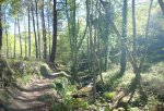 Panorama 1 (Medium).JPG