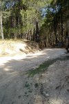 DSC03191.jpg