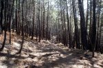 DSC03196.jpg