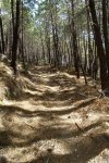 DSC03197.jpg