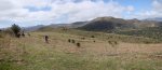 Panorama 12.jpg